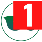 tipstohealthy.pages.dev favicon
